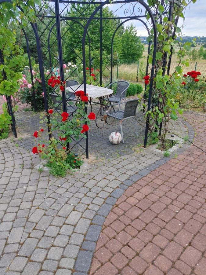 Apartamentypomorze Białogóra Εξωτερικό φωτογραφία
